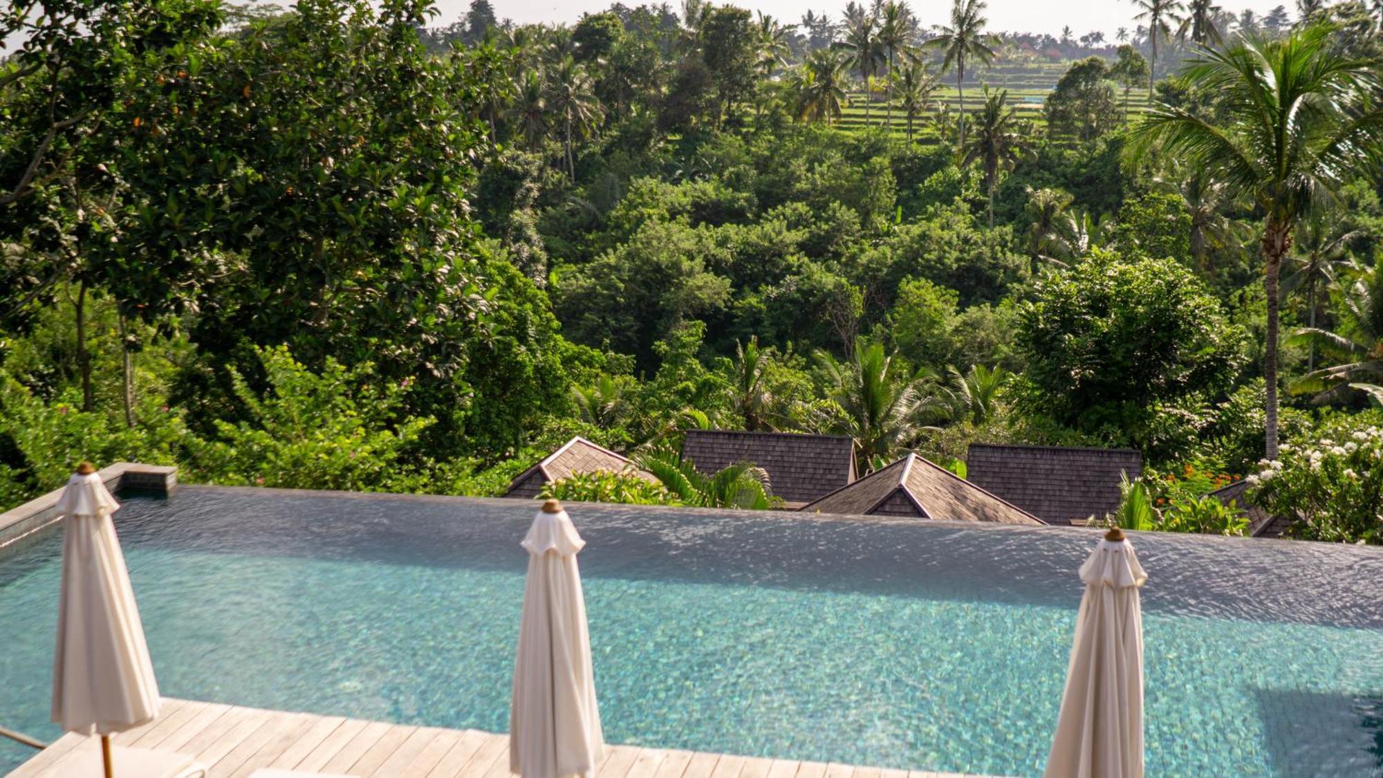 Tejaprana Bisma - Chse Certified Hotel Ubud Eksteriør billede View from the pool